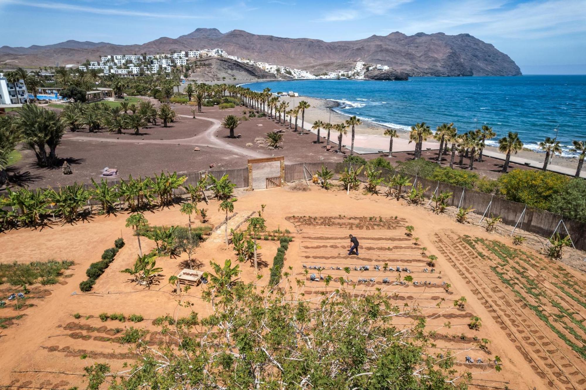 Playitas Villas - Sports Resort Las Playitas المظهر الخارجي الصورة