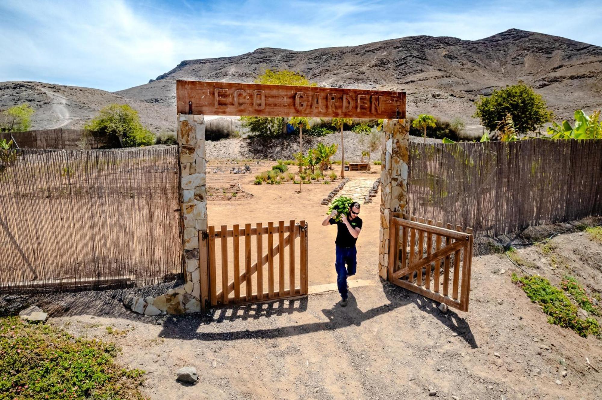 Playitas Villas - Sports Resort Las Playitas المظهر الخارجي الصورة